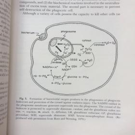 Air Pollution-Physiological Effects