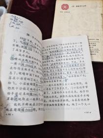 小学语课，语文（4册合售）