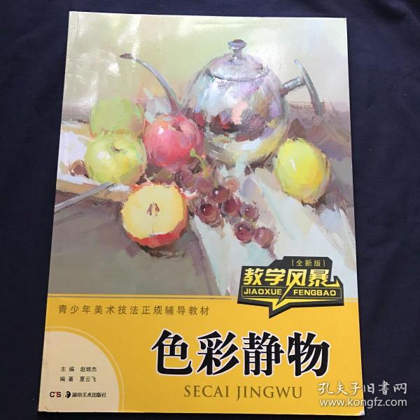 教学风暴 色彩静物（全新版）