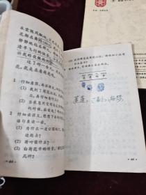 小学语课，语文（4册合售）