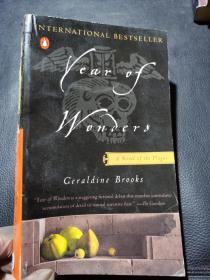 Ceraldine Brooks  Year  of  Wonders