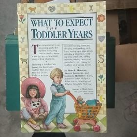 What to Expect The Toddler Years