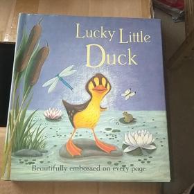 幸运的小鸭Lucky Little Duck