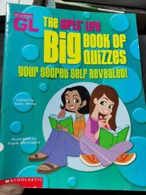 The  Cipls' Life  Big BOOK OF  QUIZZES