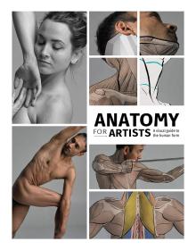 Anatomy for Artists: A visual guide to the human form (英语)  艺术家解剖学：人体形态的视觉指南