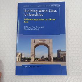 Building  World-Class  Universites