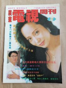 广东电视周刊（1996年第378期）