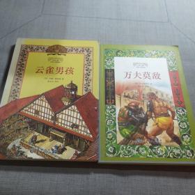 世界儿童历史小说经典·云雀男孩》《万夫莫敌》