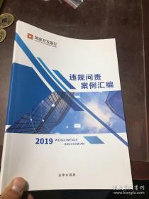 国家开发银行违规问责案例汇编2019