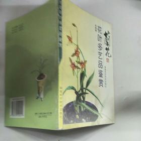 兰花花叶多艺品鉴赏