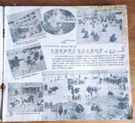 河北画报【石家庄地区美术专号】【1959年3期】F