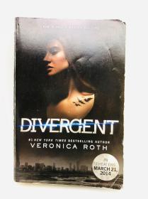 Divergent 英文原版《分歧》