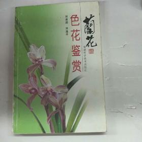 兰花色花鉴赏