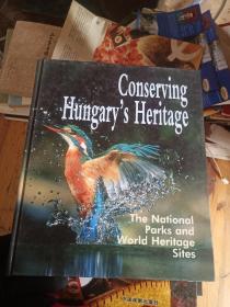 Consrving Hungarys Heritage