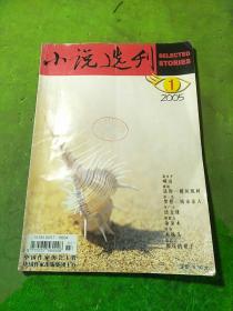 小说选刊2005年1期