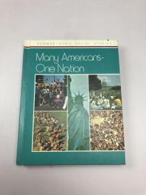 Many Americons—One Nation
