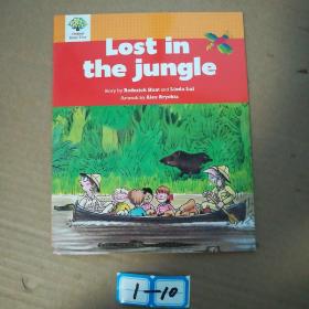 Lost in the Jungle