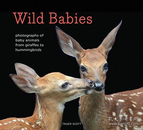 Wild Babies 英文原版 野生婴儿：从长颈鹿到蜂鸟的小动物照片