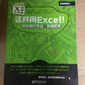 这样用Excel！：轻松制作专业的数据图表