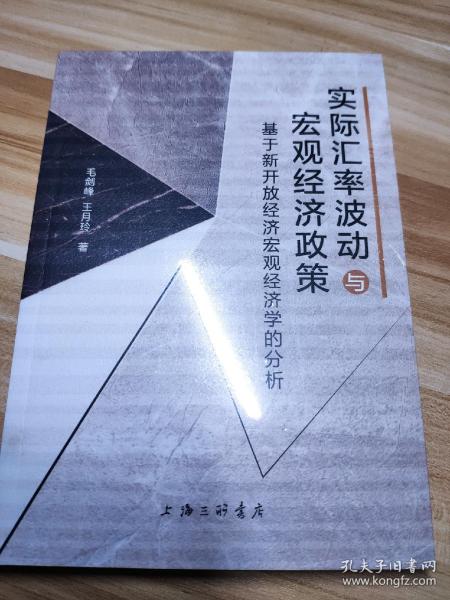 实际汇率波动与宏观经济政策—基于新开放经济宏观经济学的分析