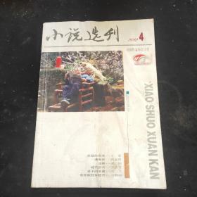 小说选刊 2012.4