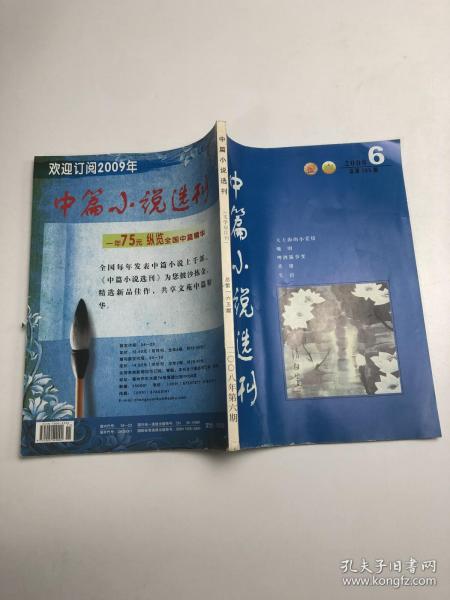 中篇小说选刊（2008年6期）