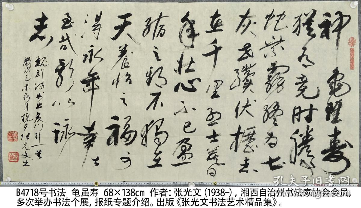 B4718号书法 曹操 龟虽寿 68×138cm 张光文 1938年生于湖南省泸溪 中国民主同盟盟员 现为中国书法艺术家协会会员 湖南省老干部书法家协会会员 湘西自治州书法家协会会员 中国民族艺术家联合会名誉主席 湘西自治州老年书画家协会名誉会长  神龟虽寿，犹有竟时；腾蛇乘雾，终为土灰。老骥伏枥，志在千里；烈士暮年，壮心不已。盈缩之期，不但在天；养怡之福，可得永年。幸甚至哉，歌以咏志。