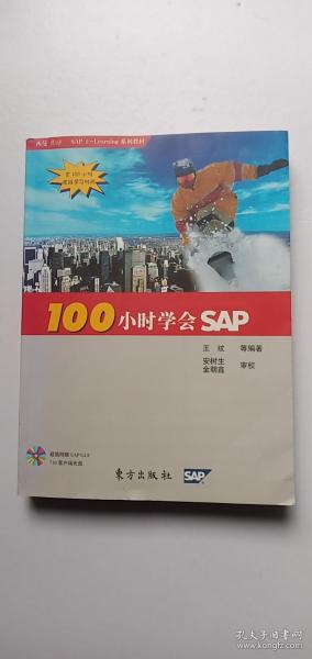 100小时学会SAP