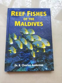 REEF FISHES OF THE MALDIVES