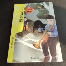 贾里贾梅大系典藏版 小鬼鲁智胜