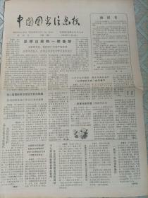 中国图书信息报试刊号