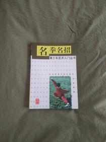 （武术类书籍）名拳名招（青少年武术入门丛书）：平装32开1998年1版2印（苏耘 北京体育大学）