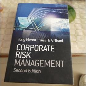 Corporate Risk Management 2nd Edition[公司风险管理(第2版)]