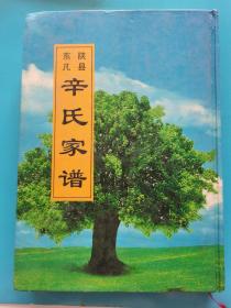 宗谱族谱家谱~~~~~~~~ ~陕县东凡辛氏家谱【河南省三门峡市陕县东凡乡 新修家谱印量极少】16开精装 包快递