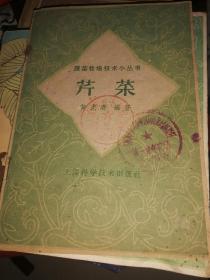 芹菜  1960年印