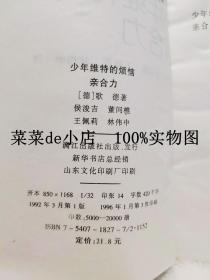 少年维持的烦恼亲和力     德   歌德     漓江出版社     平装32开      孔网独本