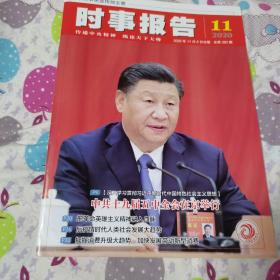 时事报告2020年第11期，品佳