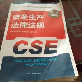注册安全工程师2020安全生产法律法规应急管理出版社全国中级注册安全工程师职业资格考试辅导教材
