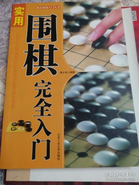 都市休闲入门丛书：实用围棋完全入门