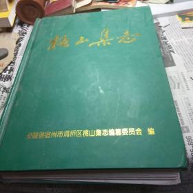 桃山集志