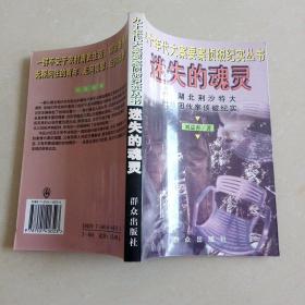 迷失的魂灵--湖北荆沙特大抢劫团伙案侦破纪实