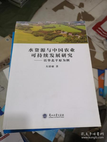 水资源与中国农业可持续发展研究：以华北平原为例