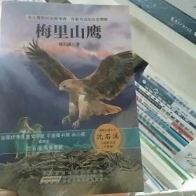 动物小说大王沈石溪自选精品集：梅里山鹰（升级版）