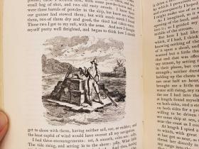 The Life and Surprising Adventures of Robinson Crusoe of York, Mariner