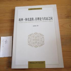 同济大学政治学丛书·欧洲一体化进程：在理论与实证之间