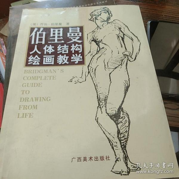 伯里曼人体结构绘画教学