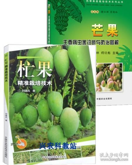 云南高原特色农业系列丛书：杧果栽培新技术