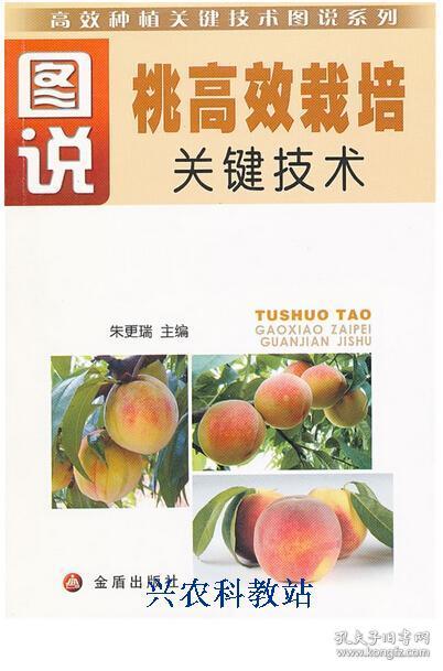 桃树种植管理技术大全4书籍桃树修剪毛桃桃子树栽培视频教程8光盘