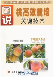 桃树种植管理技术大全4书籍桃树修剪毛桃桃子树栽培视频教程8光盘