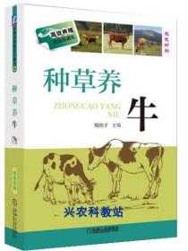 肉牛养殖技术大全视频教程13光盘/肉牛饲料配方种草养牛技术4书籍